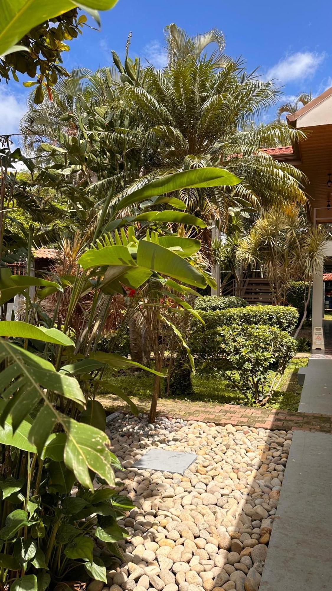 Hotel Brillasol Airport Las Ciruelas  Exterior foto